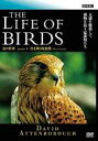 【中古】DVD▼BBC 鳥の世界 4 空を舞う肉食獣 レンタル落ち ケース無