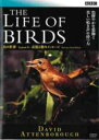 【中古】DVD▼BBC 鳥の世界 6 衣装と歌のメッセージ レンタル落ち ケース無