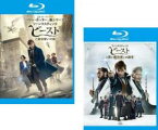 2パック【中古】Blu-ray▼ファンタスティック・ビーストと魔法使いの旅 + 黒い魔法使いの誕生(2枚セット) ブルーレイディスク レンタル落ち 全2巻 ケース無