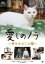 【中古】DVD▼愛しのノラ 幸せをはこぶ猫 レンタル落ち ケース無 499円