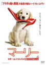 【中古】DVD▼マーリー 世界一おバカな犬が教えてくれたこと レンタル落ち ケース無