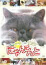 ワンコの気持ち 2 [DVD]