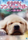 【中古】DVD▼感動体験!アンビリーバボー わんこの奇跡の贈り物 レンタル落ち ケース無