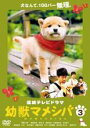 【中古】DVD▼連続テレビドラマ版 幼獣マメシバ 3(第9話〜第11話 最終) レンタル落ち ケース無