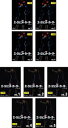 全巻セット【送料無料】【中古】DVD▼エージェント・カーター(9枚セット)シーズン1、2 レンタル落ち ケース無