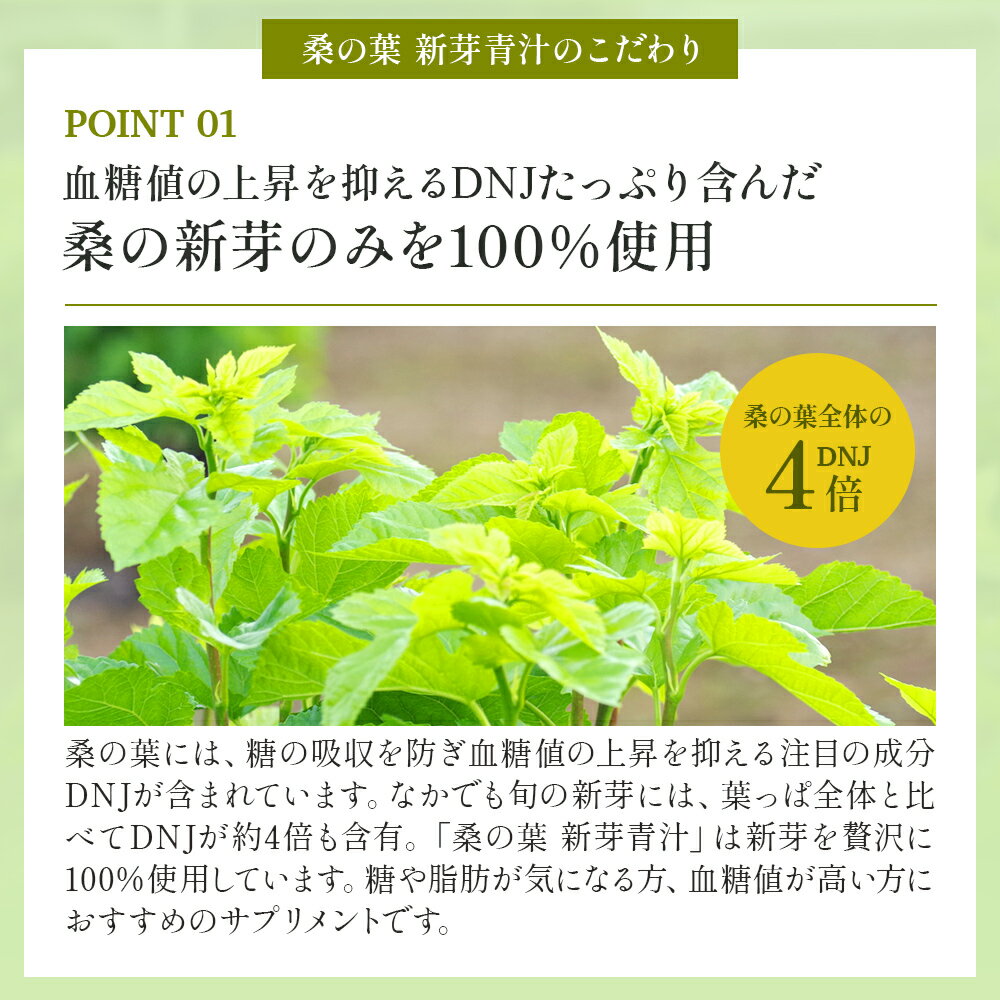 ＼1位獲得／【送料無料】 国産 桑の葉 新芽青汁 31包 血糖値 体脂肪 桑の葉茶 脂肪 健康食品 デオキシノジリマイシン DNJ 食物繊維 カルシウム 鉄 GABA クロロフィル ふくふく本舗 血糖値 血糖値を下げる 糖質ダイエット ふくふく本舗 美味しい