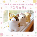 お写真から作るオーダーメイドペット骨壷 ころぉる