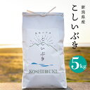 令和3年産新米 こしいぶき 5kg お米 あす楽 新潟産 精米 白米 玄米 産直 おいしい米 うまい 米 さっぱり もちもち どんぶり 丼用 2021年産 新米 注文後に精米 翌日発送