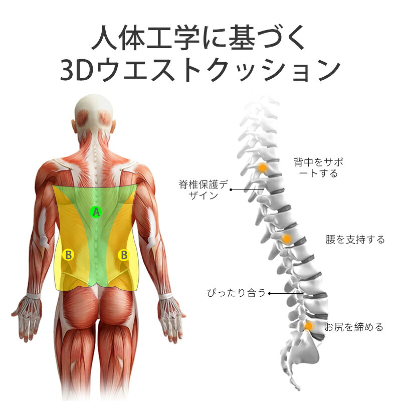 【6％OFFクーポン】MEIKASO 腰クッション ランバーサポートクッション 5段階高さ調整 背もたれ 車 クッション 最新版 低反発 腰枕 腰当て 通気性 人間工学 姿勢矯正 ウェストクッション 車用品 プレゼント 椅子用品 父の日 敬老の日