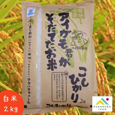 【フクハラファーム公式】 コシヒカリ アイガモ君が育てたお米 白米 2kg 合鴨農法...