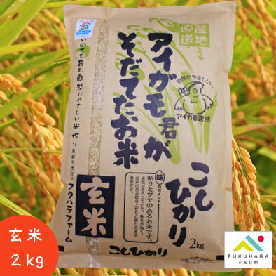 【フクハラファーム公式】 コシヒカリ アイガモ君が育てたお米 玄米 2kg 合鴨農法 栽培期間中 農薬不使..