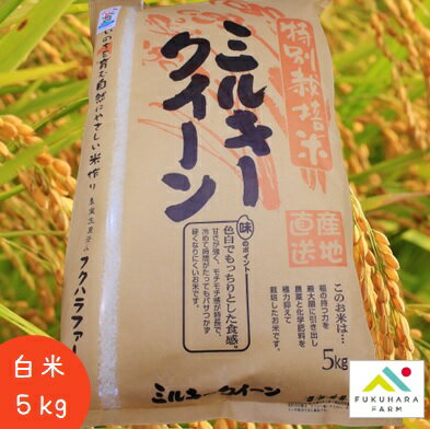 フクハラファーム公式】 ミルキークイーン 白米 5kg 特別栽培米 フクハラファーム公式】 ミルキークイーン 白米 5kg 特別栽培米