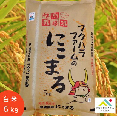 【フクハラファーム公式】令和4年 滋賀県産 特別栽培米 にこまる 白米 5kg 低農...