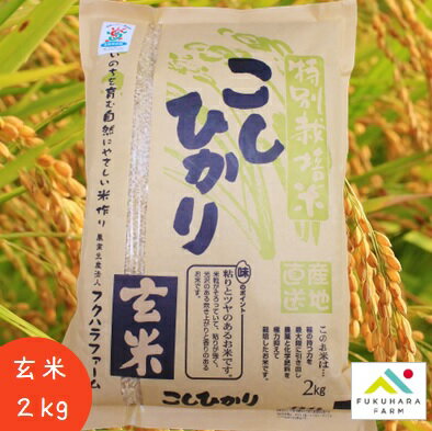 【フクハラファーム公式】 コシヒカリ 玄米 2kg 特別栽培 令和5年産 滋賀県産 彦根 お米 ご飯