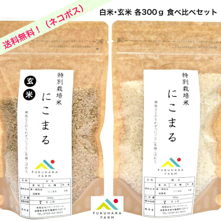 【フクハラファーム公式】 送料無料 にこまる 白米 玄米 300g お試し 食べ比べ セット 特別栽培米 減農薬 低農薬 令和5年産 滋賀県産 彦根市 ひこにゃん ご飯 お米 白米 玄米 お試し ネコポス