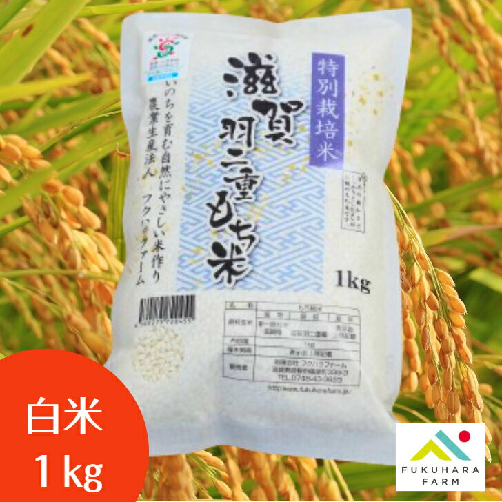 商品情報名称もち精米産地滋賀県品種滋賀羽二重もち産年令和5年産内容量1kg精米年月日袋表面に記載おすすめポイント！滋賀県環境こだわり農産物の認証を受けています。 滋賀羽二重もち米は、古くから和菓子職人に愛され、今も高級もち米の代名詞として専門家からはもちろんのこと、一般家庭でも重宝されております。 フクハラファームではこちらの滋賀羽二重もちを、より安全で安心してお使いいただけるよう「環境こだわり農産物」として減農薬・減化学肥料で栽培しました。 是非おためしください。 ※羽二重もち(1袋kg)のみをご注文の場合は、ネコポス(ポスト投函)でのお届けとなりますので予めご了承ください。 　2袋以上は通常の宅配便となります。 ◎ネコポスのお届けは、配達地域によって1週間前後かかる場合がございます。 （ヤマト運輸へ引き渡し後、日本郵便にて配送されます）