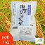 【フクハラファーム公式】 滋賀羽二重もち 白米 1kg 特別栽培米 令和5年産 滋賀県 彦根市 国産100% もち米 羽二重