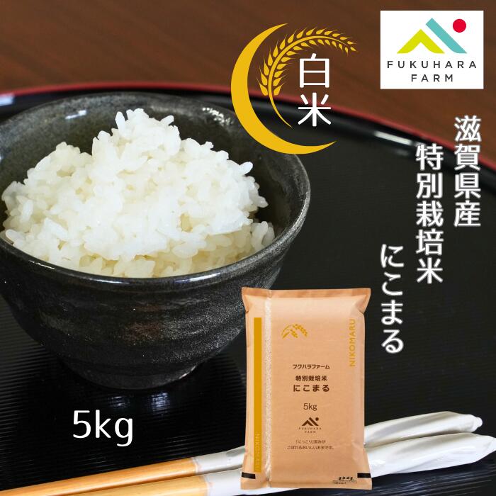 新米【フクハラファーム公式】 白米 にこまる 5kg 精米 5キロ お米 特別栽培米...
