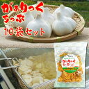  1袋60g 10個入 ガーリックチップ 揚げにんにく 発芽にんにく使用 にんにくチップ フライドガーリック 泉水耕農園思いやりの丘フクハウス