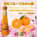 1000円ポッキリ 【 飲むフルーツ みかん酢 】 1瓶200ml 1本入り 飲む酢 誕生プレゼント 果実酢 健康酢 無添加 国産 おいしいお酢 美味しいお酢 飲むお酢 フルーツ酢 フルーツ ビネガー ドリンク お酢ドリンク 美容ドリンク 健康ドリンク 泉水耕農園思いやりの丘フクハウス
