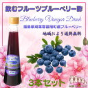 【 飲むフルーツ ブルーベリー酢 】 1瓶200ml 3本入り 飲む酢 誕生プレゼント 果実酢 健康酢 無添加 国産 おいしいお酢 美味しいお酢 ..