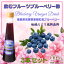 【 飲むフルーツ ブルーベリー酢 】 1瓶200ml 3本入り 飲む酢 誕生プレゼント 果実酢 健康酢 無添加 国産 おいしいお酢 美味しいお酢 飲むお酢 フルーツ酢 フルーツ ビネガー ドリンク お酢ドリンク 美容ドリンク 健康ドリンク 泉水耕農園思いやりの丘フクハウス