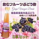  1瓶200ml 5本入り 飲む酢 誕生プレゼント 果実酢 健康酢 無添加 国産 美味しいお酢 飲むお酢 フルーツ酢 フルーツ ビネガー ドリンク お酢ドリンク 美容ドリンク 健康ドリンク 泉水耕農園思いやりの丘フクハウス