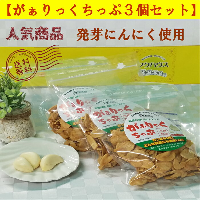 【楽天1位】 にんにくちっぷ 【 がぁりっくち...の紹介画像2