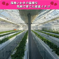 ハウス