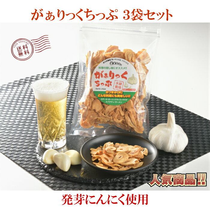 にんにくちっぷ 【 がぁりっくちっぷ 】 1袋60g 化粧箱 3個入り ガーリックチップ 揚げにんにく 発芽にんにく使用 にんにくチップ フライドガーリック 泉水耕農園思いやりの丘フクハウス