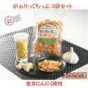  1袋60g 化粧箱 3個入り ガーリックチップ 揚げにんにく 発芽にんにく使用 にんにくチップ フライドガーリック 泉水耕農園思いやりの丘フクハウス