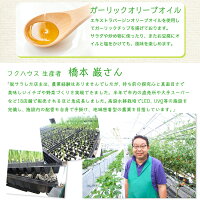 フクハウスセット