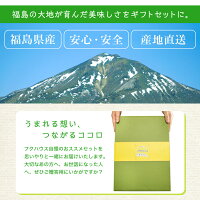 フクハウスセット