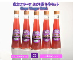 【 飲むフルーツ ぶどう酢 】 1瓶200ml 5本入り 飲む酢 誕生プレゼント 果実酢 健康酢 無添加 国産 美味しいお酢 飲むお酢 フルーツ酢 フルーツ ビネガー ドリンク お酢ドリンク 美容ドリンク 健康ドリンク 泉水耕農園思いやりの丘フクハウス