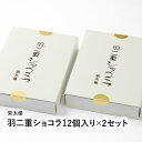 羽二重ショコラ12個入り×2セット　【福井県 福井市 和菓子 栄太楼】