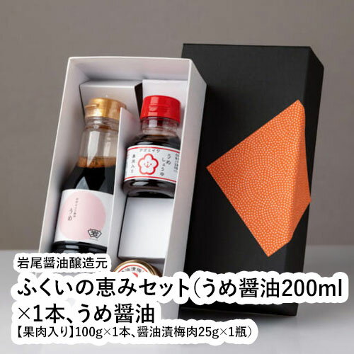 ふくいの恵みセット(うめ醤油200ml×1本、うめ醤油【果肉入り】100g×1本、醤油漬梅肉25g×1瓶) 【福井県 福井市 岩尾醤油醸造元】