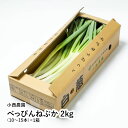 べっぴんねぶか（2kg（10～15本）×1箱） 