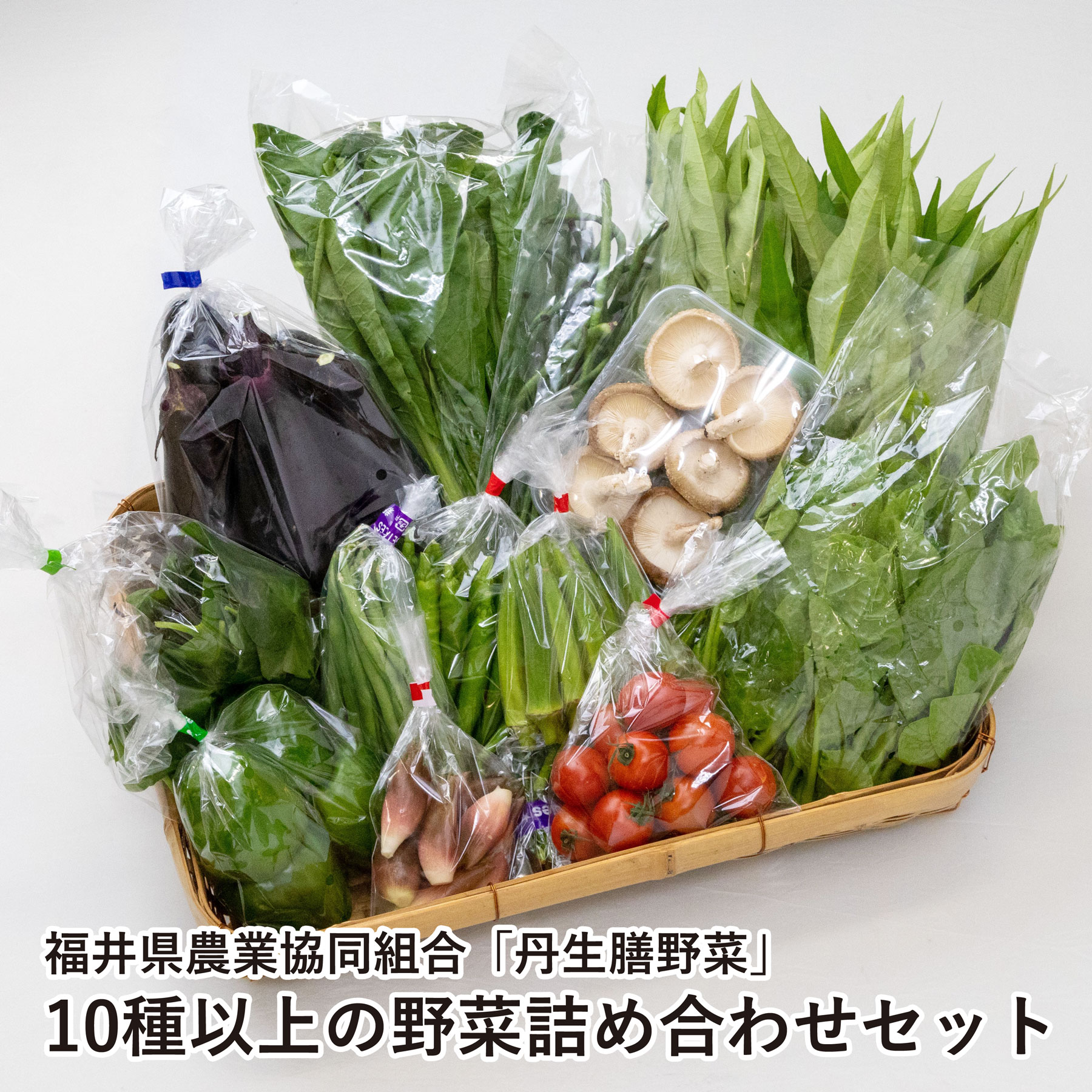 10種以上の野菜詰め合わせセット 【福井県 福井市 丹生膳野菜】のサムネイル
