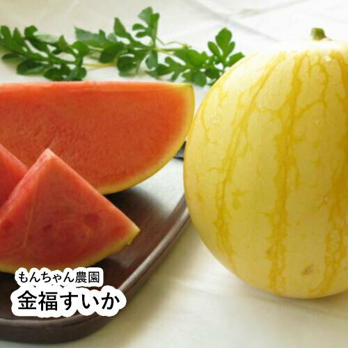 【70玉限定】金福すいか1玉〈令和7年産〉6月上旬～順次発送