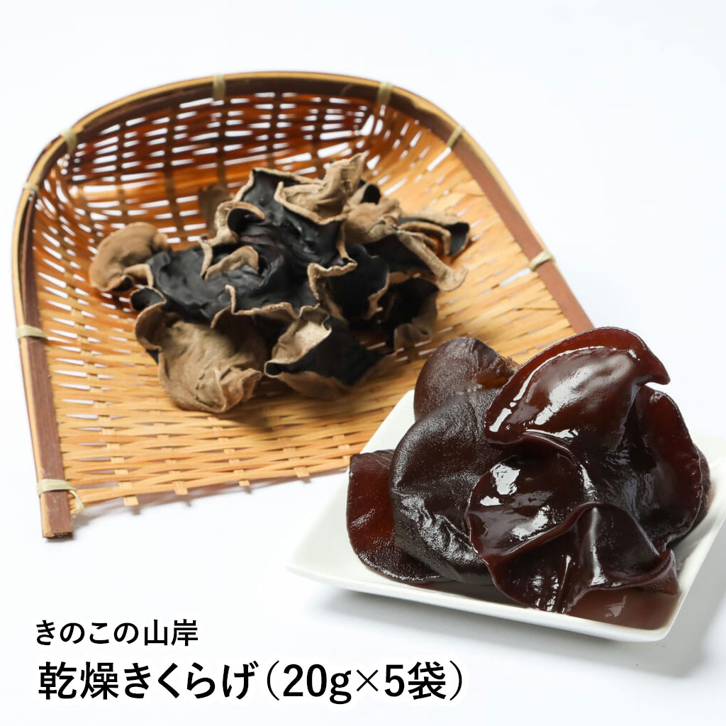 乾燥きくらげ(20g×5袋) 【福井県 福井市 きのこの山岸】