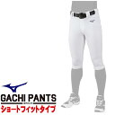 MIZUNO ミズノ 野球ユニフォーム GACHIユニフォームパンツ・ショートフィットタイプ 練習用スペアパンツ 12JD2F6701【高校生 中学生 小学生 ...