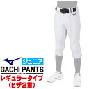 MIZUNO ミズノ 野球ユニフォーム ジュニア・GACHIユニフォームパンツ・レギュラータイプ (ヒザ2重) ジュニア練習用スペアパンツ 12JD2F8001...