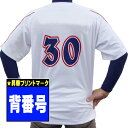 【昇華プリントマーク・シャツ別売・マークのみ】昇華プリント オリジナルシャツマーク背番号 (1着分) shoka-se-no【ユニフォーム 野球 ソフトボール ...