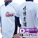 【昇華プリントマーク・シャツ別売・マークのみ】昇華プリント オリジナルシャツマーク片胸+バックプリント マークDセット (1着分) shoka-D【ユニフォーム...