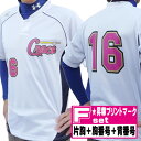 【昇華プリントマーク・シャツ別売・マークのみ】昇華プリント オリジナルシャツマーク片胸+胸番号+背番号 マークFセット (1着分) shoka-F【ユニフォーム...