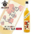 四海王 東三河の恵み 『四海王 梅酒』（箱入り） 500ml ギフト 贈り物 に最適 福井酒造 蔵元直送