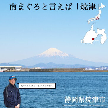 マグロ まぐろ 鮪 刺身 訳あり中トロ 天然南まぐろ中トロ切落し用700g（税込） あす楽 送料無料 80439