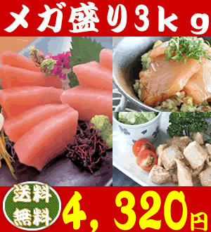 【送料無料】びんちょうを本気で3kgも詰め込みました!メガ盛り3kg!【マグロ】【まぐろ】【鮪】【RCP】【刺身】【マグロ 訳あり】【あす楽】(税込)84275
