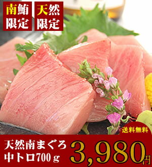 【送料無料】やっぱり天然！訳アリ天然南まぐろ中トロ切落したっぷり700g！（税込） 【まぐろ】【マグロ】【鮪】【刺身】【まぐろ 中トロ】【中トロ】【マグロ　訳あり】【あす楽】【お試し】80439