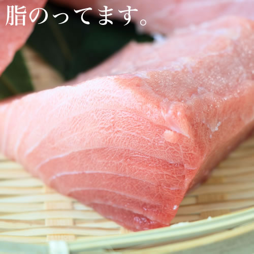 【送料無料】やっぱり天然！訳アリ天然南まぐろ中トロ切落したっぷり700g！（税込） 【まぐろ】【マグロ】【鮪】【刺身】【まぐろ 中トロ】【中トロ】【マグロ　訳あり】【あす楽】【お試し】80439